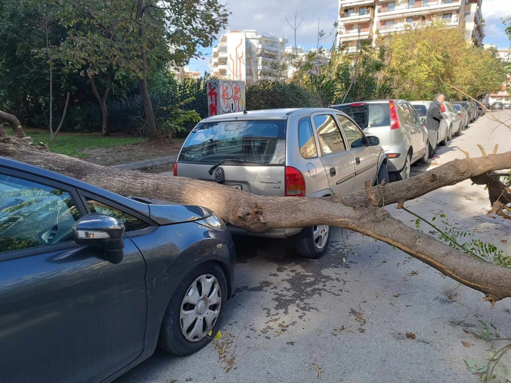 περισσότερες-από-40-πτώσεις-δέντρων-στη-1083130