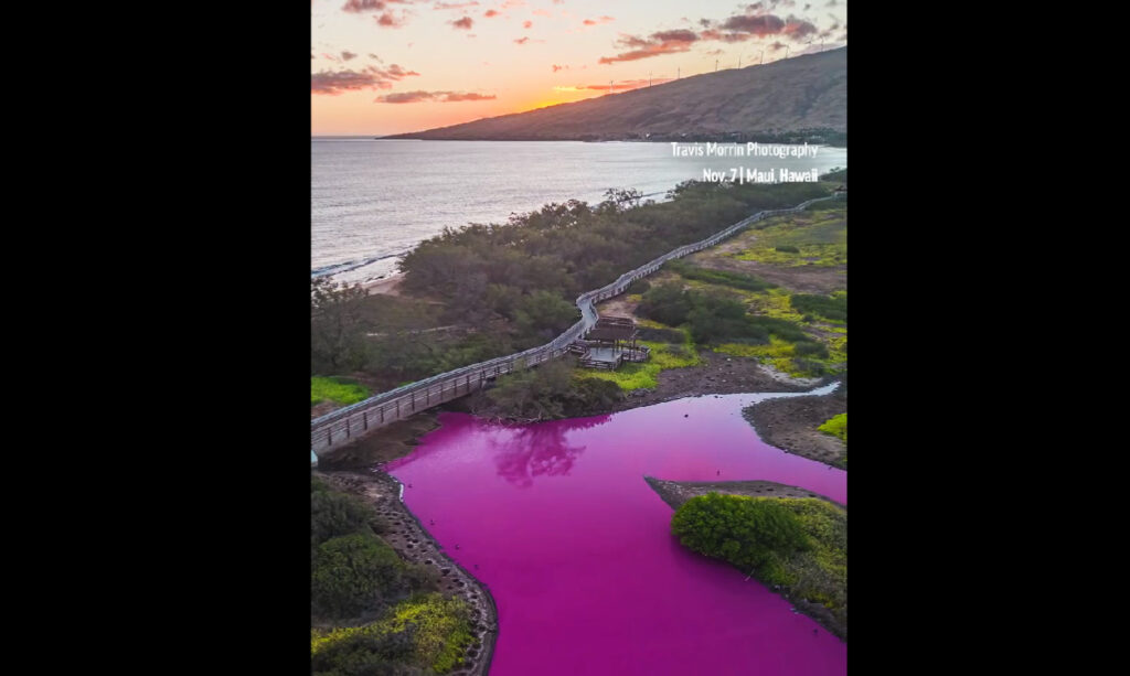λίμνη-στη-χαβάη-έγινε-ροζ-1080510