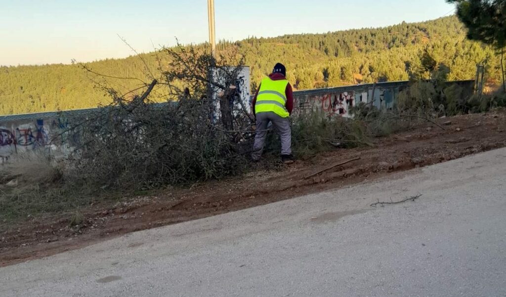 ξεκίνησε-η-κοπή-δέντρων-στο-σέιχ-σου-γι-1092808