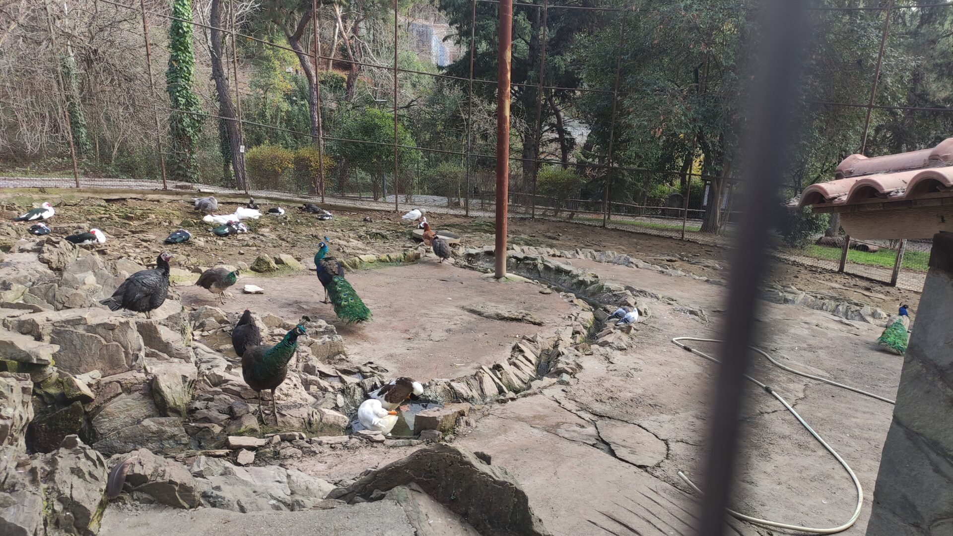 Ζωολογικός κήπος Θεσσαλονίκης