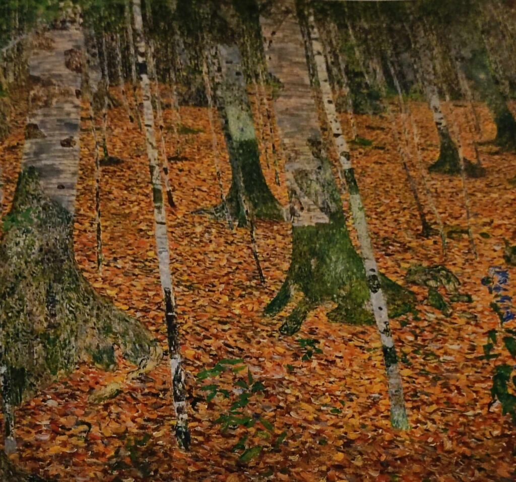 τo-κατάφωτο-δάσος-των-λέξεων-της-καναδή-1108076