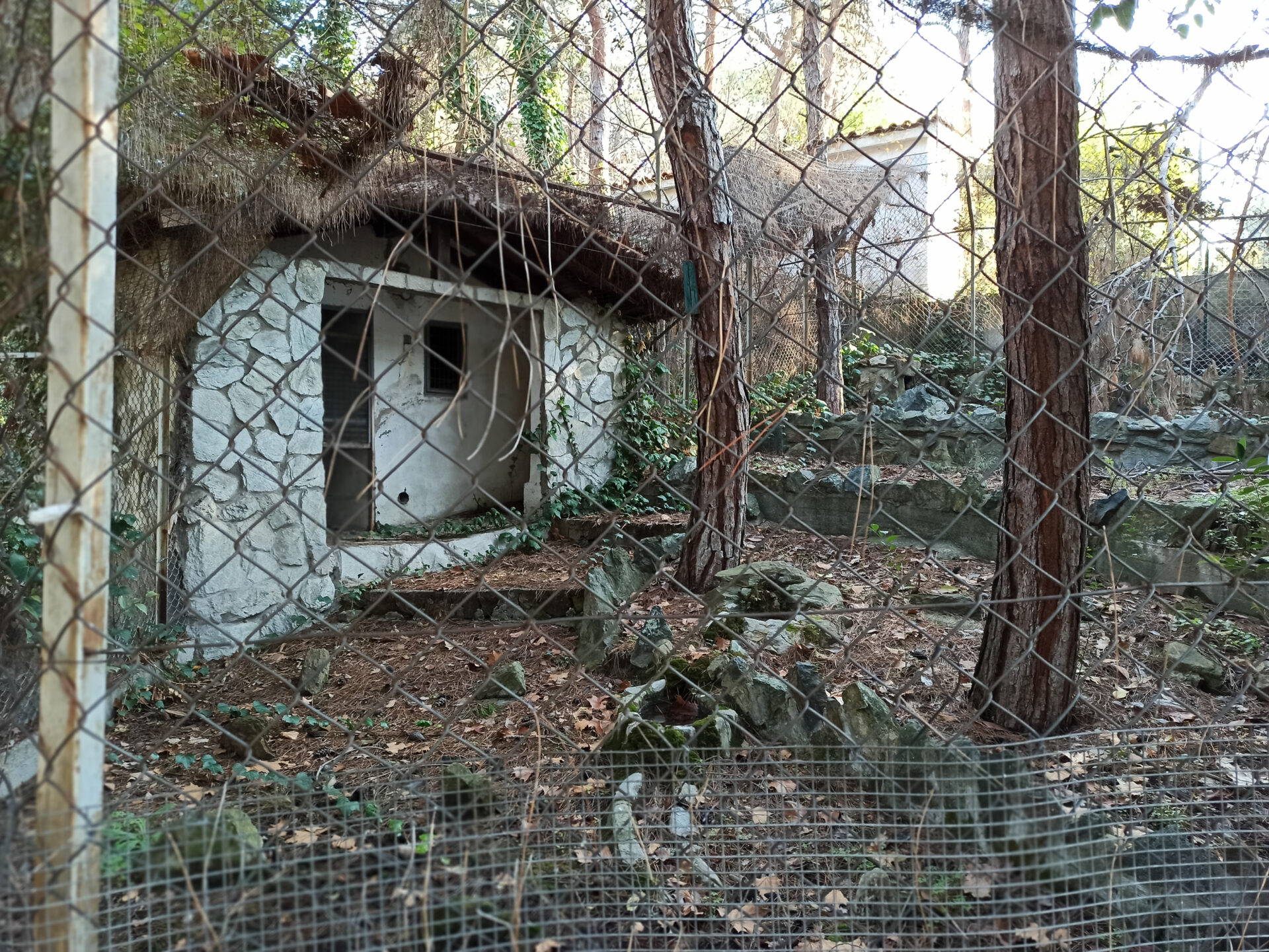 Ζωολογικός κήπος Θεσσαλονίκης