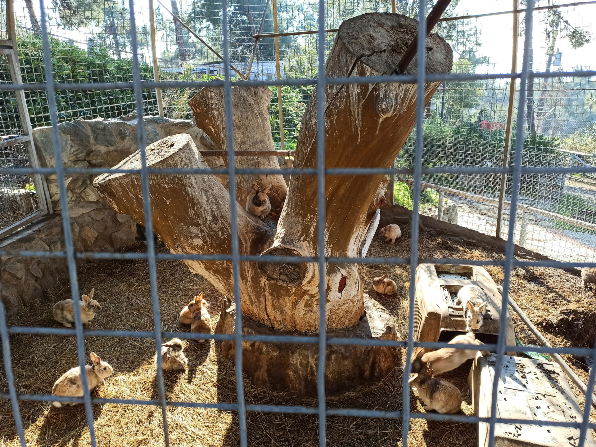 Ζωολογικός κήπος Θεσσαλονίκης