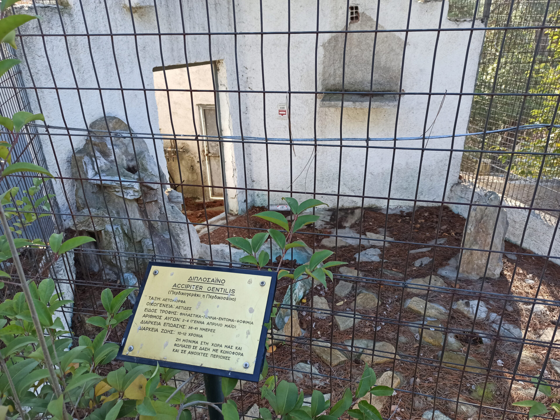 Ζωολογικός κήπος Θεσσαλονίκης