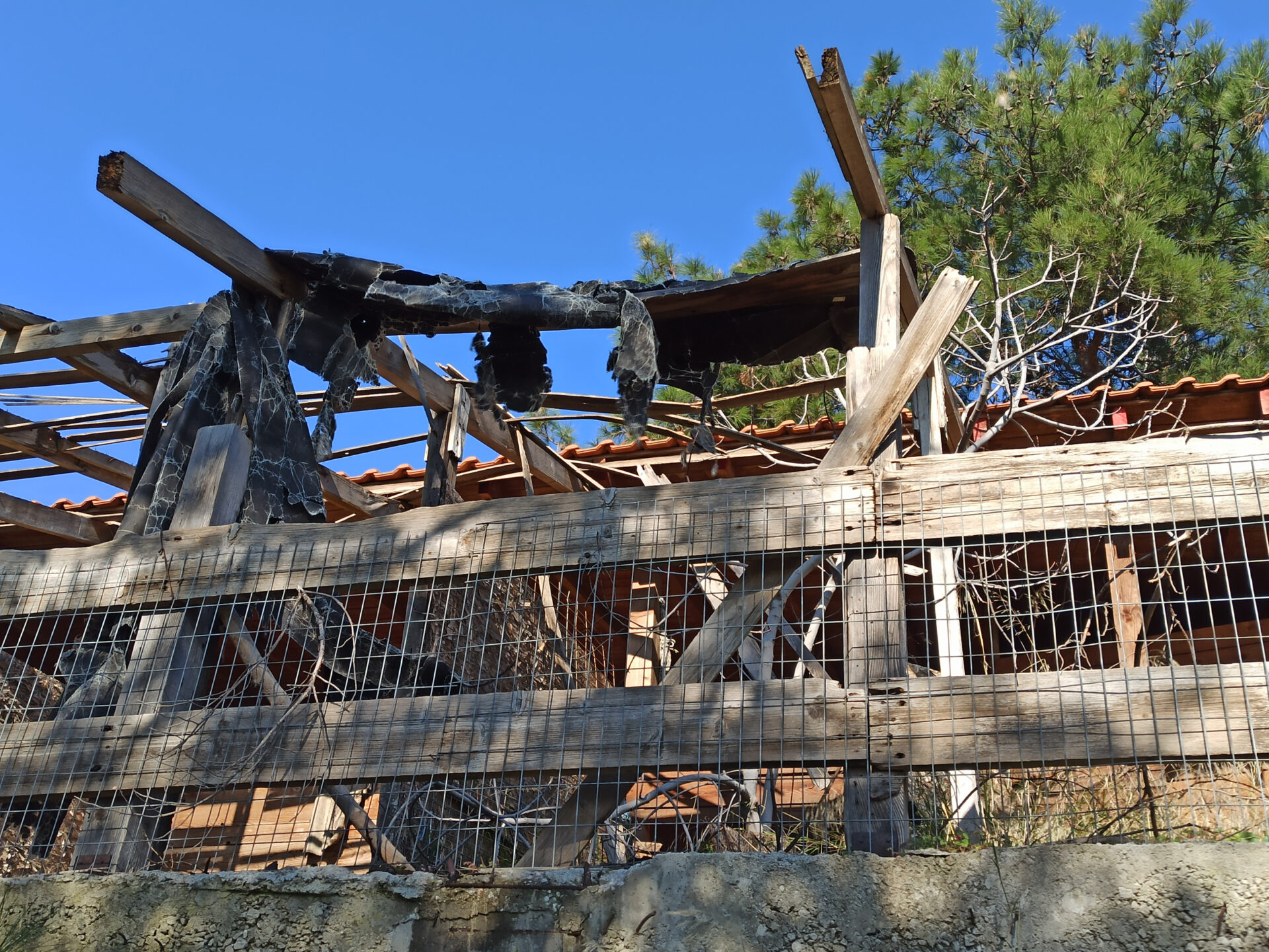 Ζωολογικός κήπος Θεσσαλονίκης