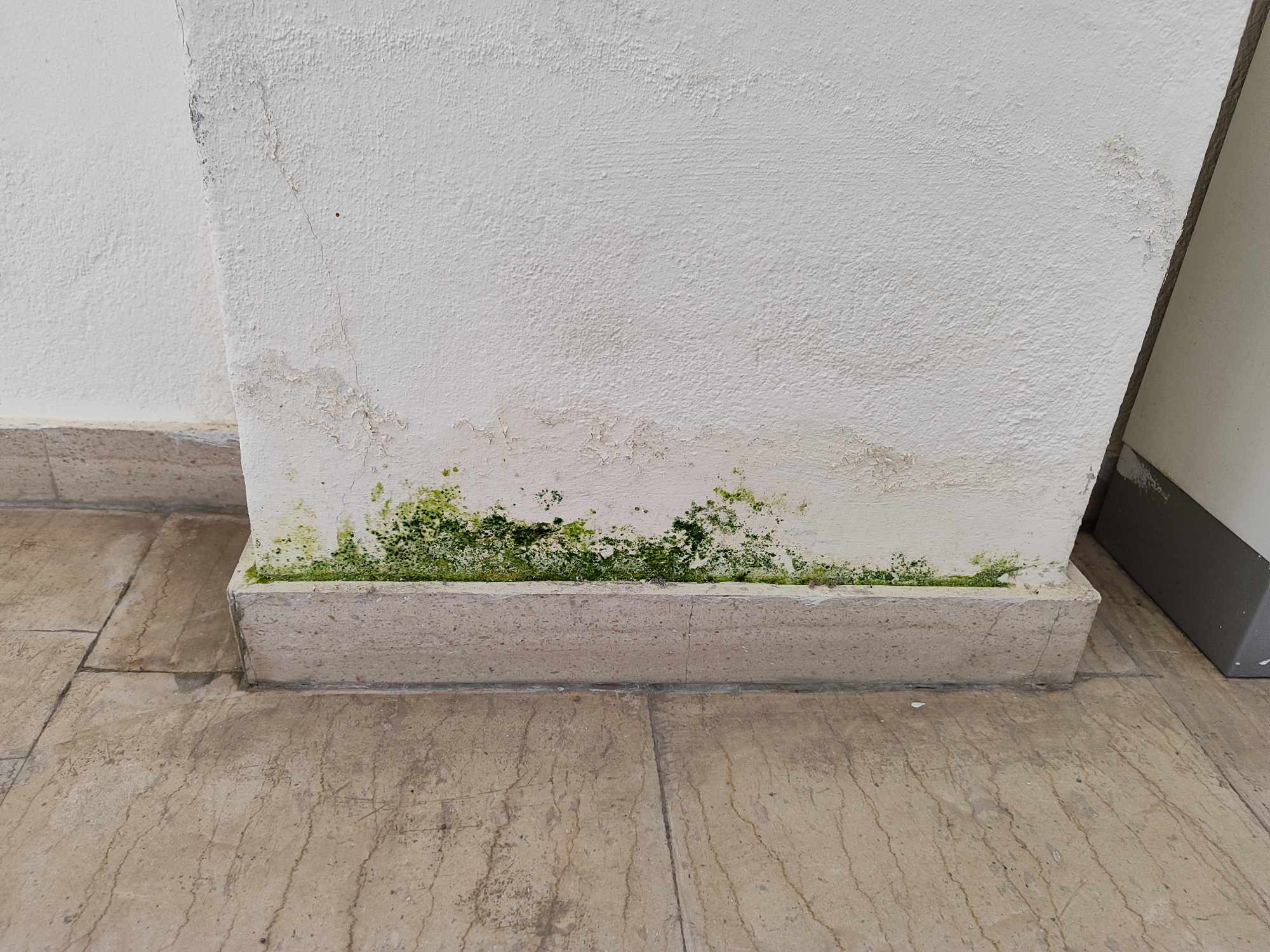 Καλών τεχνών