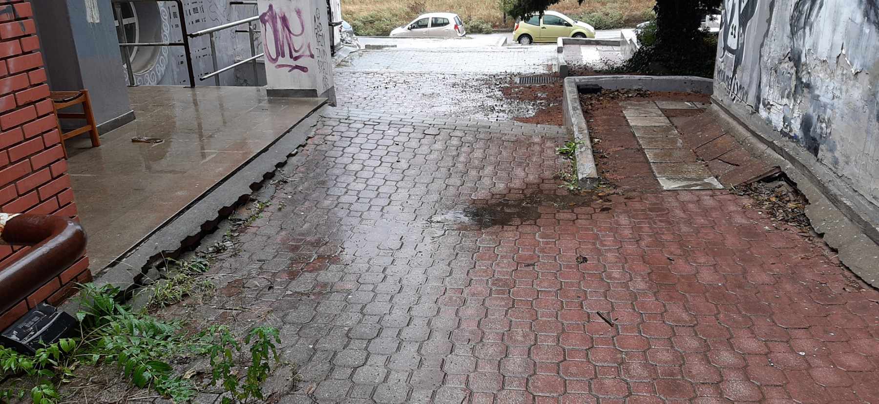 Καλών τεχνών