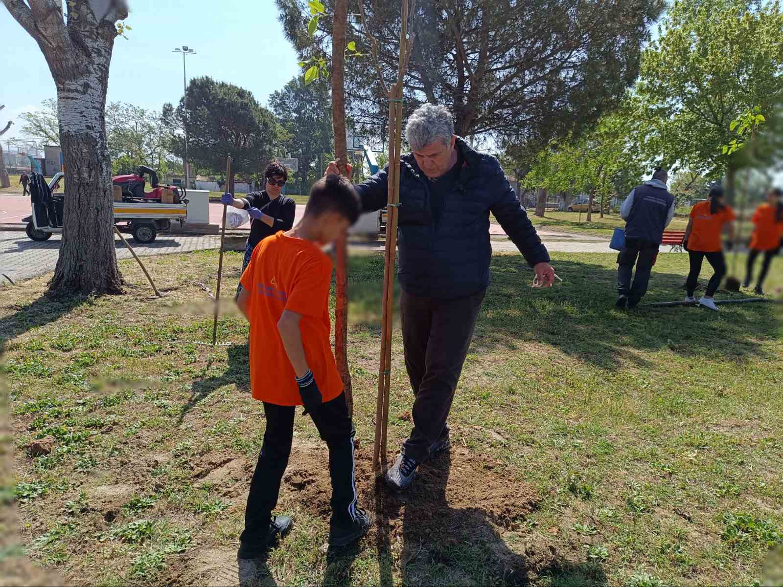 Δέντρα, Τέμπη Εύοσμος Κορδελιό