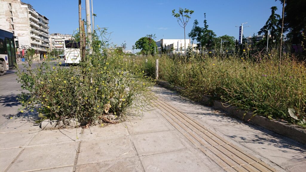 θεσσαλονίκη-ένα-χρόνο-έχουν-να-κουρε-1156909