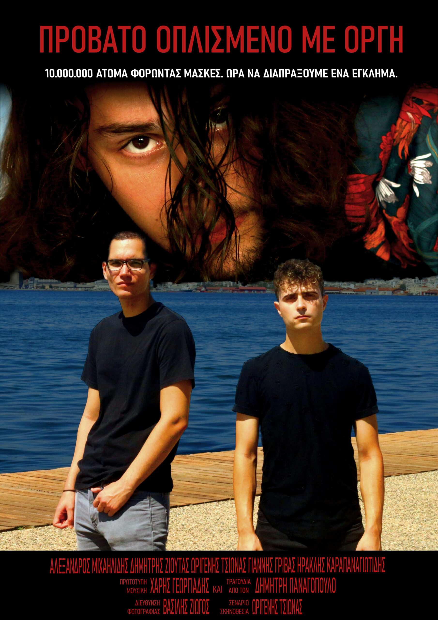 Πρόβατο οπλισμένο με οργή