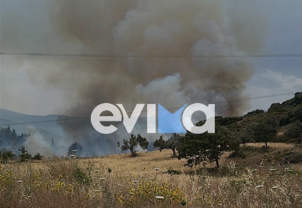 φωτιά-στην-εύβοια-στην-περιοχή-σάμαρη-1171593