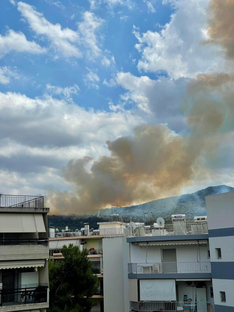 φωτιά-στον-διόνυσο-στο-σημείο-η-πυροσ-1184175