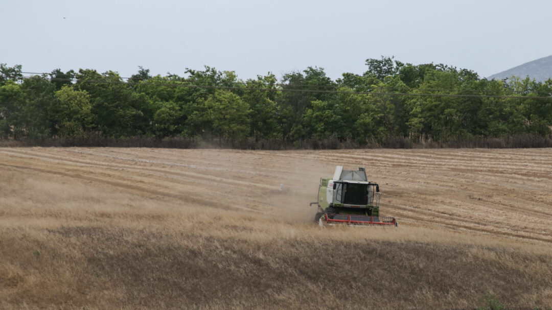 τι-σημαίνει-η-συμφωνία-mercosur-για-την-ελλάδ-1186390