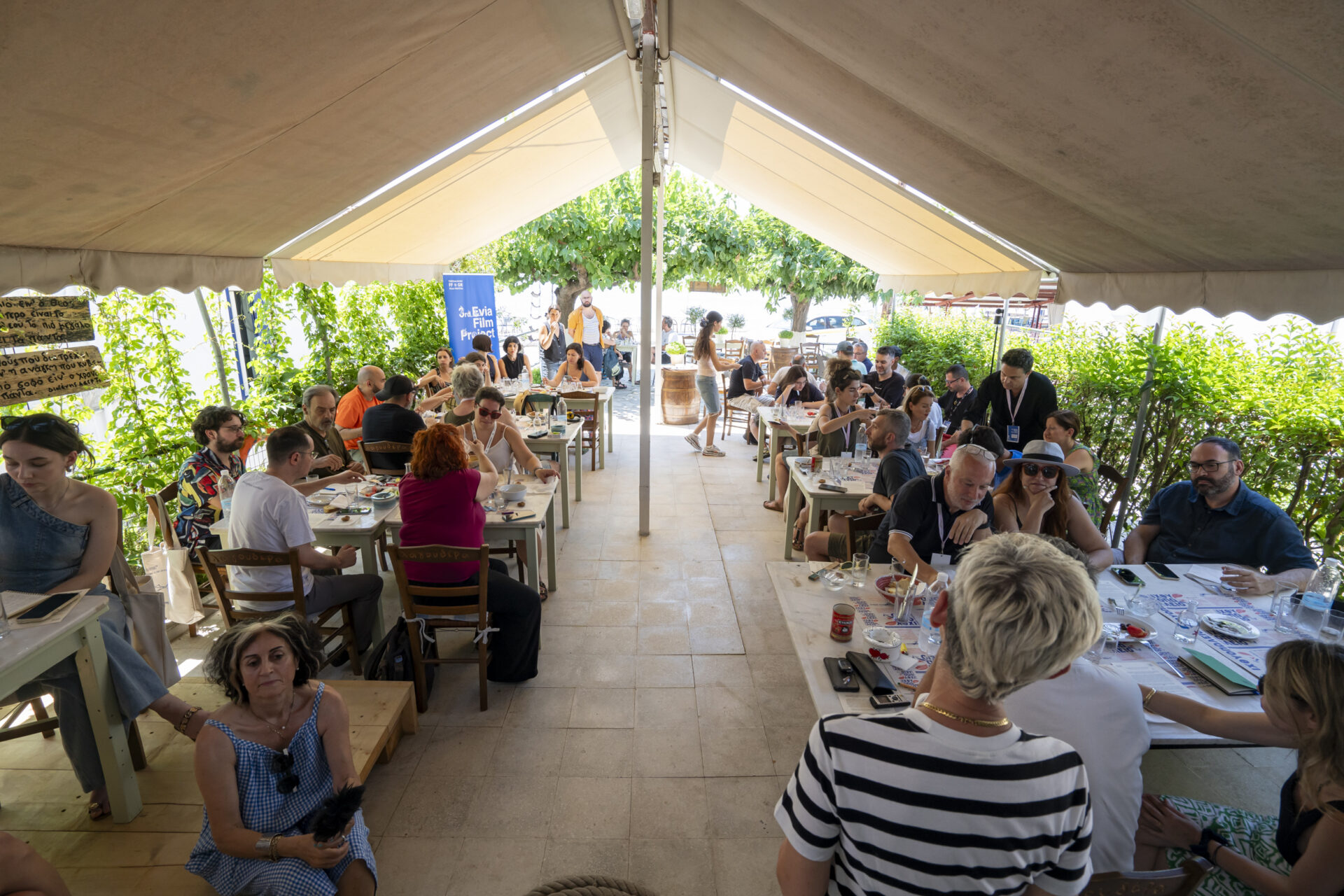 τσίπουρο, Ψυχούλη