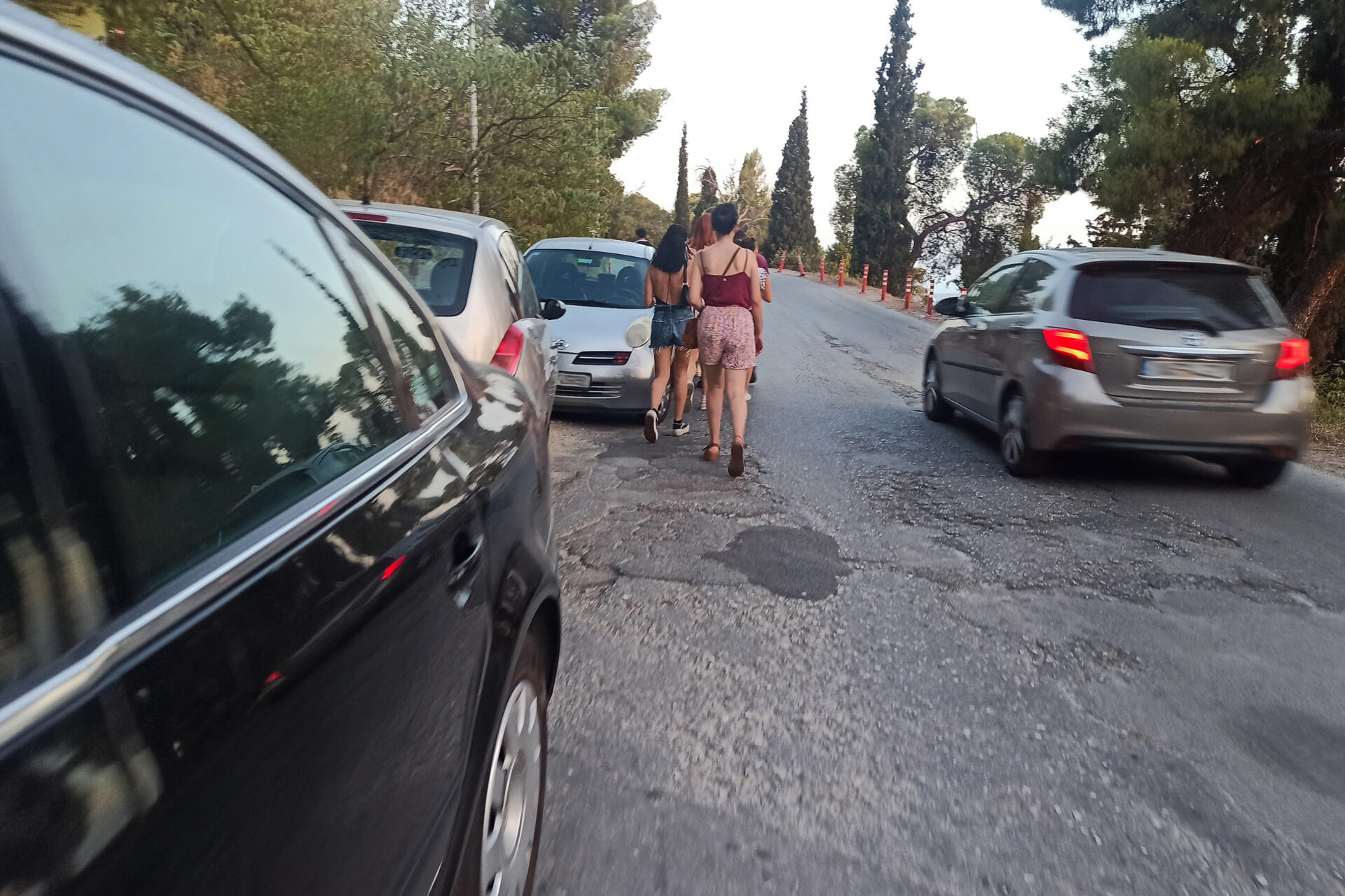 Θέατρο Δάσους, Συναυλίες