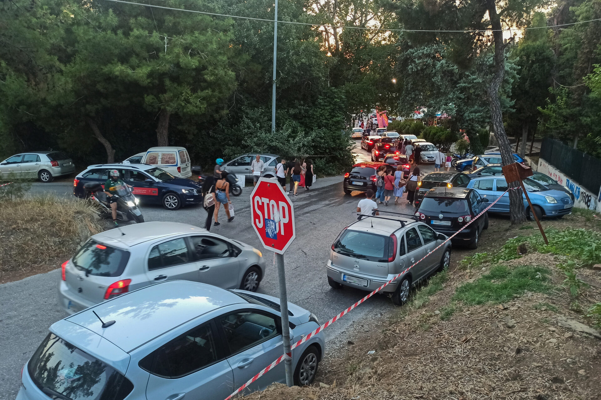 Θέατρο Δάσους, Συναυλίες