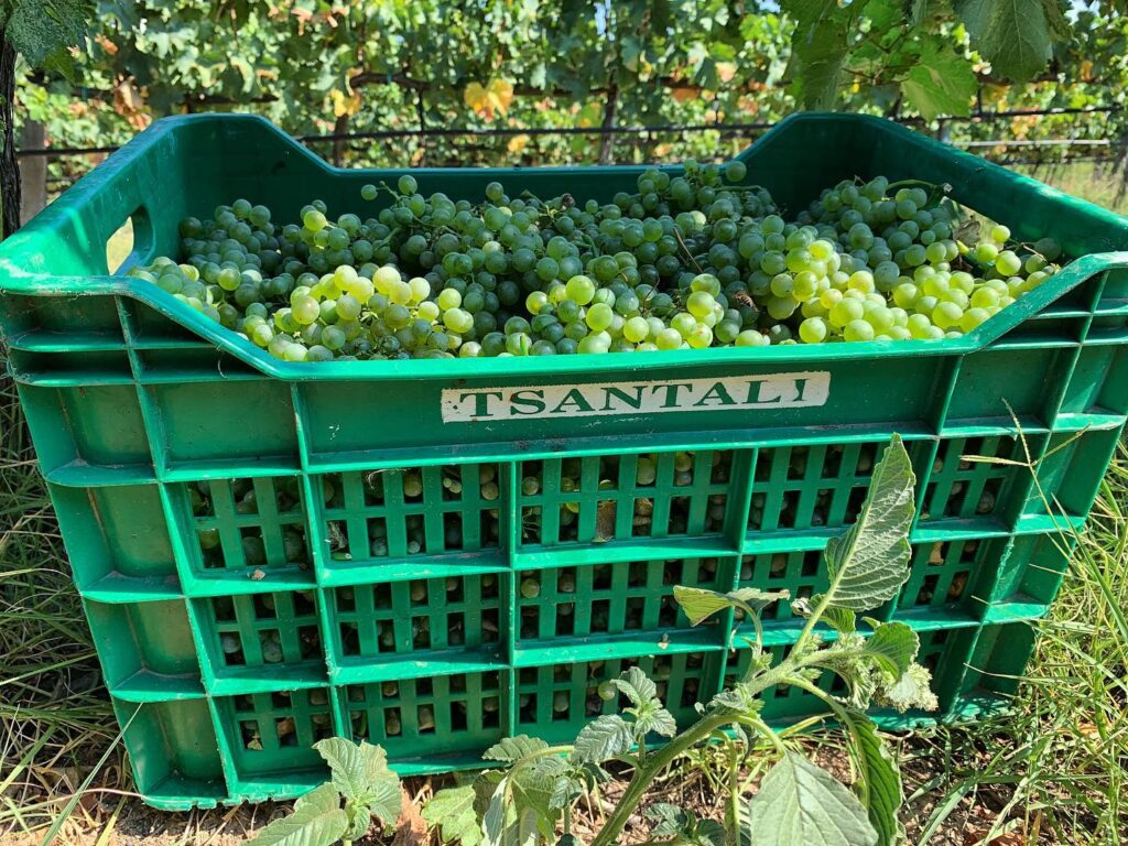 τίτλοι-τέλους-για-την-ιστορική-οινοπο-1193901