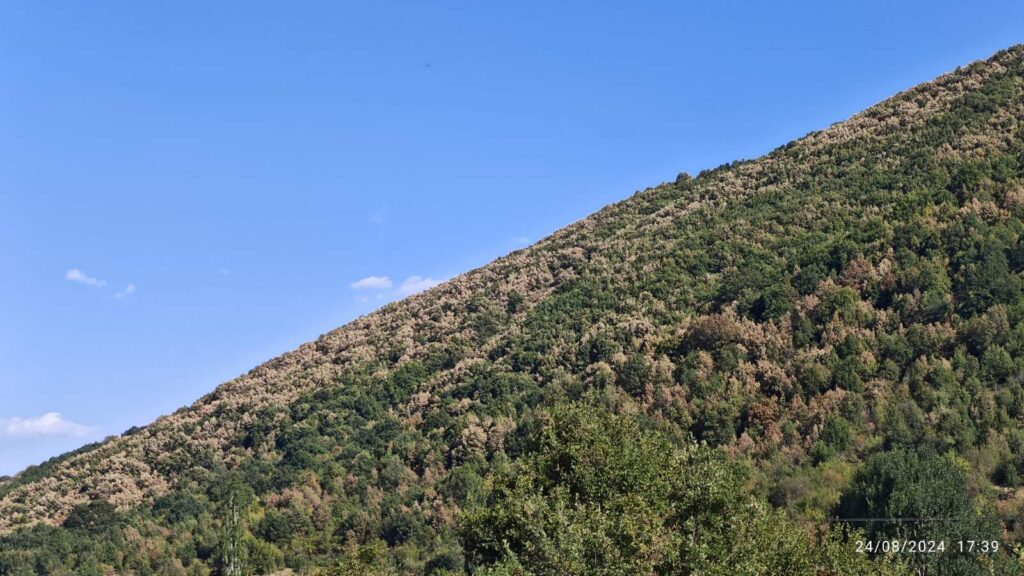 οργή-του-οφυπεκα-απολύουν-εργαζομένο-1207211