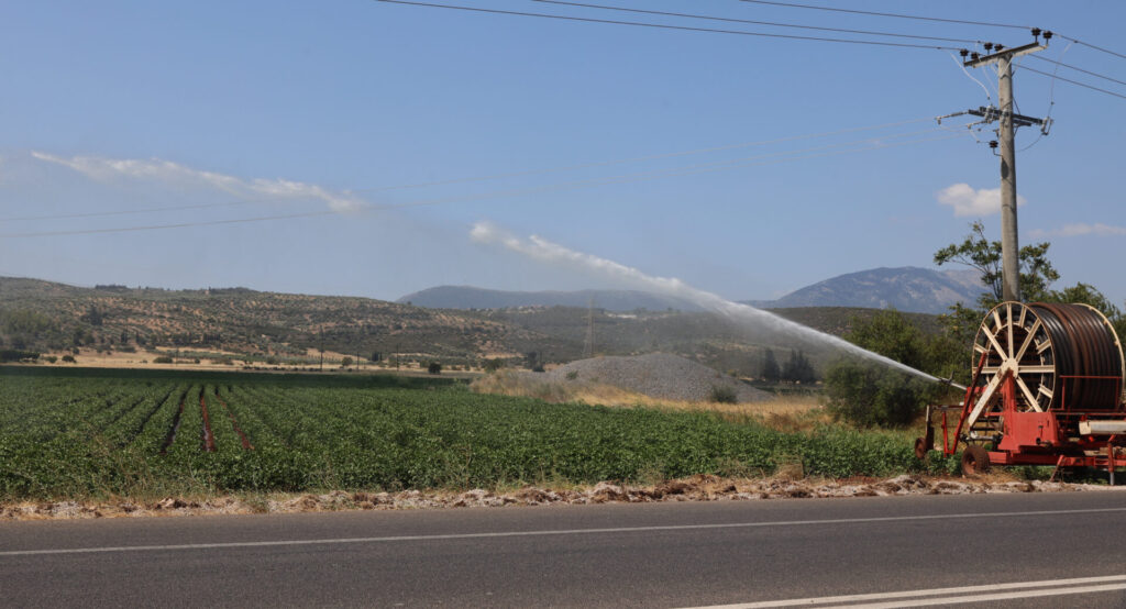 θεσσαλονίκη-πάνω-από-10-000-στρέμματα-με-πα-1204509