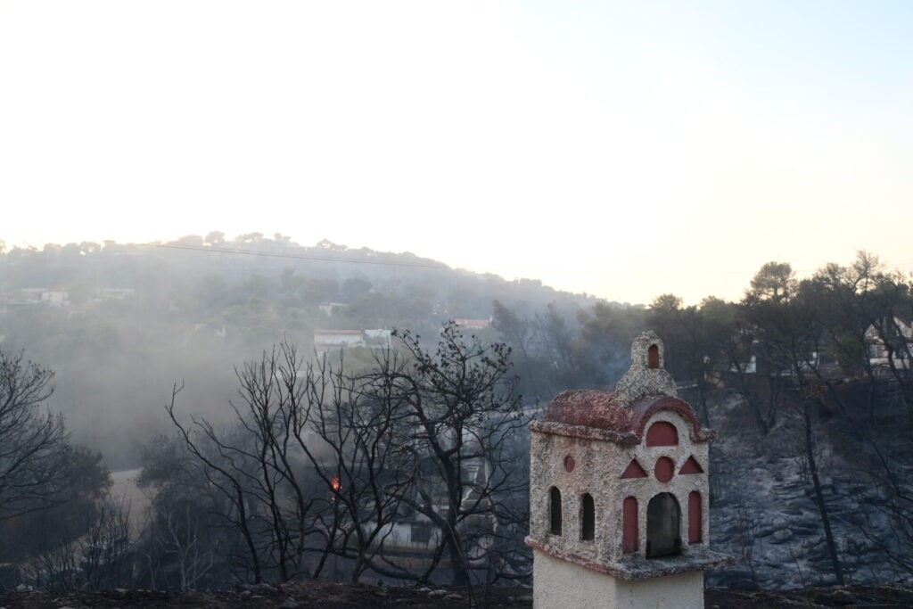 φωτιά-στην-αττική-αβοήθητα-ζώα-κάηκαν-1201454