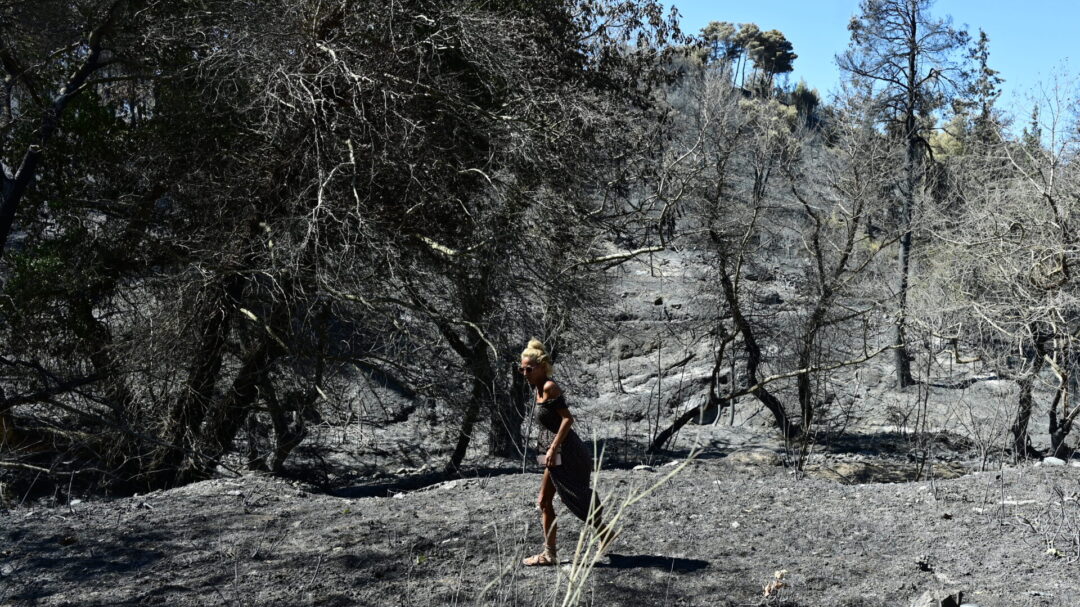 πεντέλη-104-σπίτια-παραδόθηκαν-στις-φλό-1201864