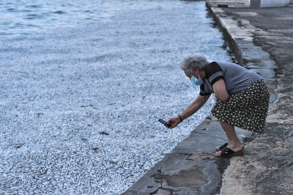 τι-έχουν-τα-έρμα-και-ψοφούν-1206931