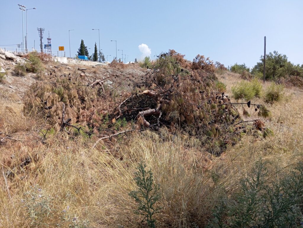 ερώτηση-στην-περιφέρεια-να-σταματήσ-1203826