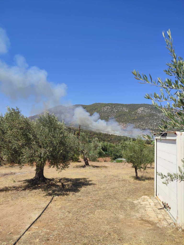 φωτιά-σε-αγροτοδασική-έκταση-στην-άνω-1202084