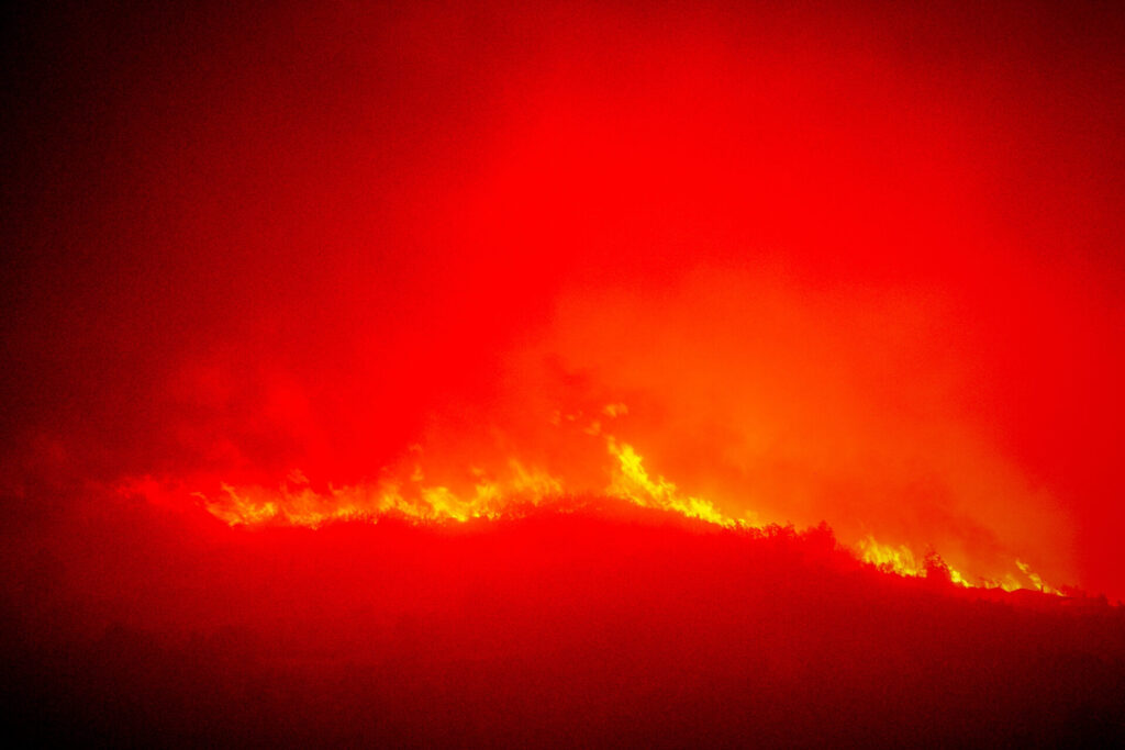 φωτιά-τώρα-στο-γεράκι-και-τον-πανόπουλ-1221561