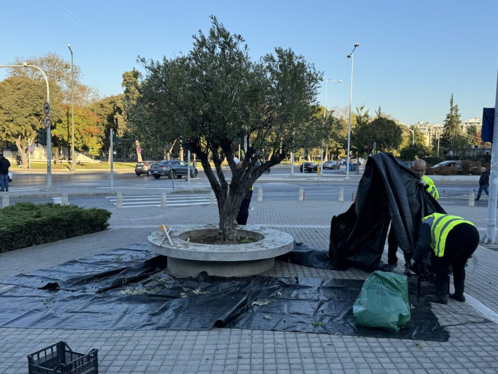 ο-δήμος-θεσσαλονίκης-βγάζει-το-δικό-το-1233043