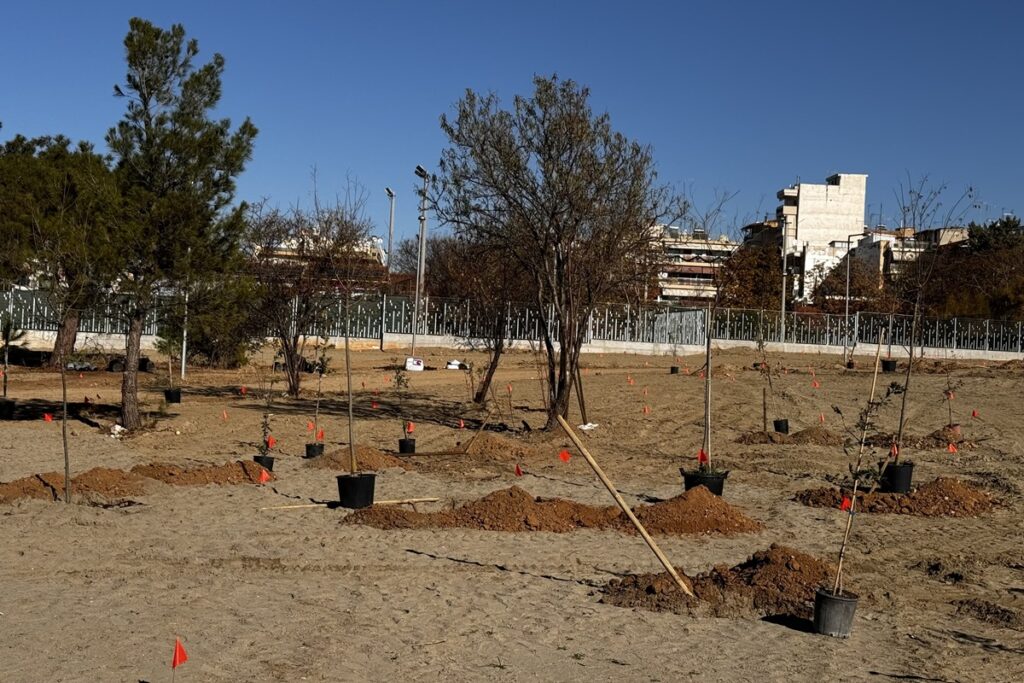 7-000-δέντρα-στο-μητροπολιτικό-πάρκο-παύλ-1246767