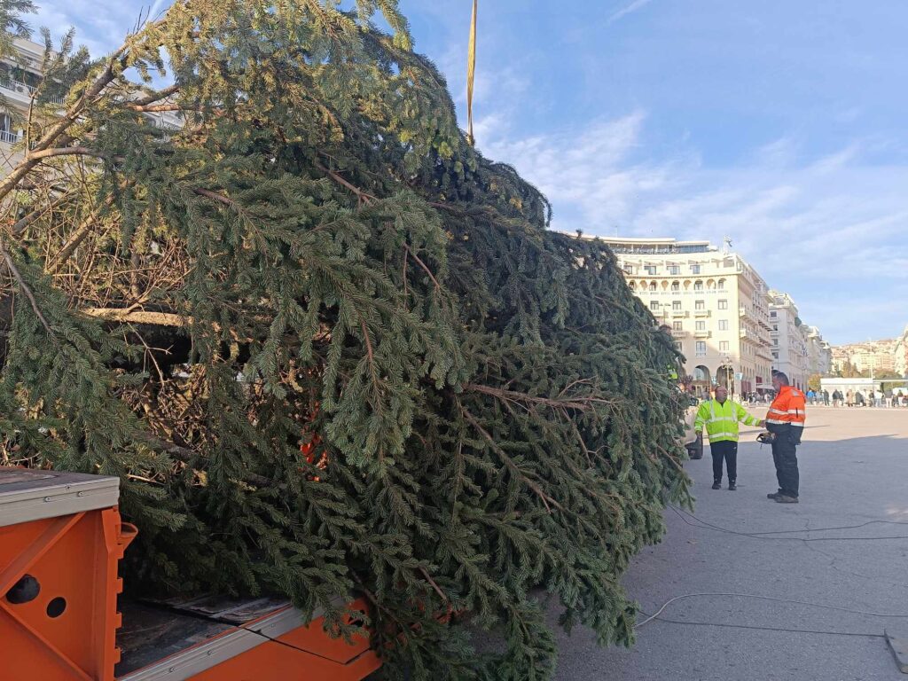θεσσαλονίκη-ξεκινά-η-αποκομιδή-και-αν-1245136