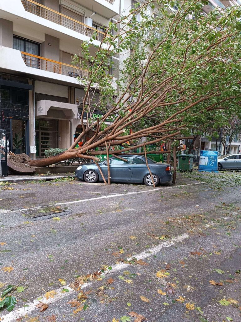 μαύρη-ημέρα-για-το-πράσινο-της-θεσσαλο-1249767