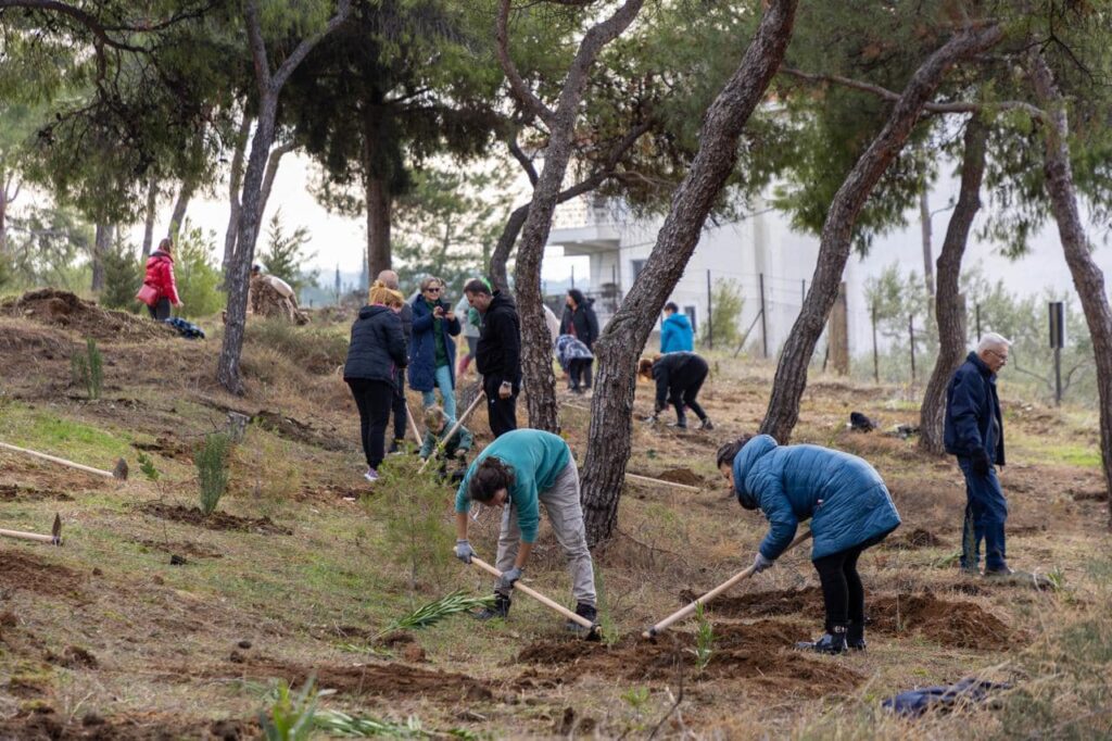 θεσσαλονίκη-χίλια-νέα-δέντρα-φυτεύτη-1253070