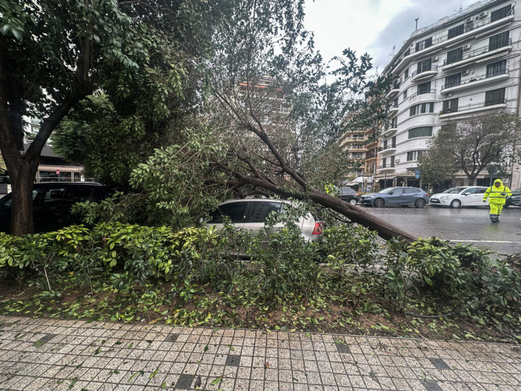 θεσσαλονίκη-επιχείρηση-αφαίρεσης-κο-1253181