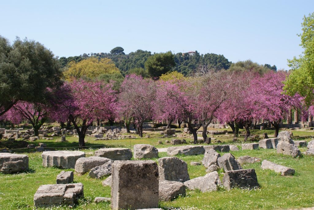 ολυμπία-είσοδος-ιδιώτη-στη-διαχείρισ-1272574