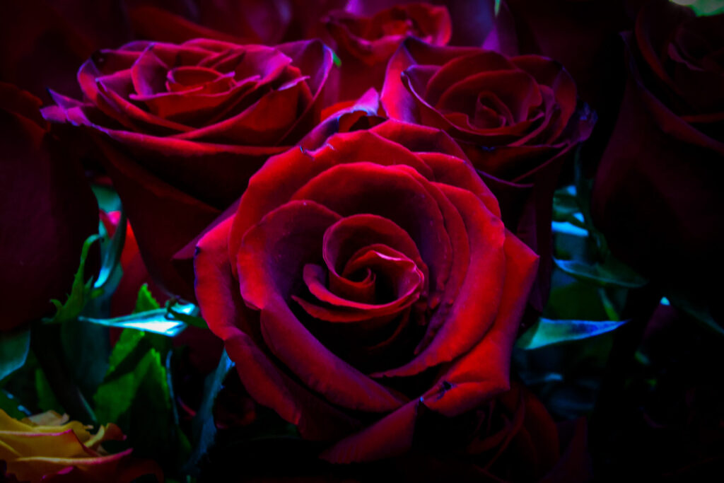 parallaxi-magazine-to-free-press-της-θεσσαλονίκης-1280215