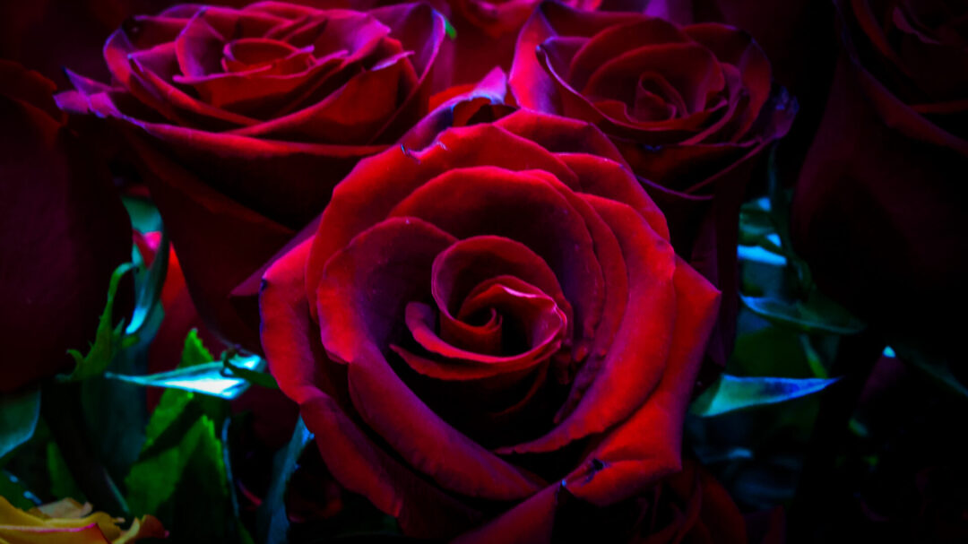 valentines-day-ο-απόλυτος-οδηγός-events-για-τους-ερωτε-1280215