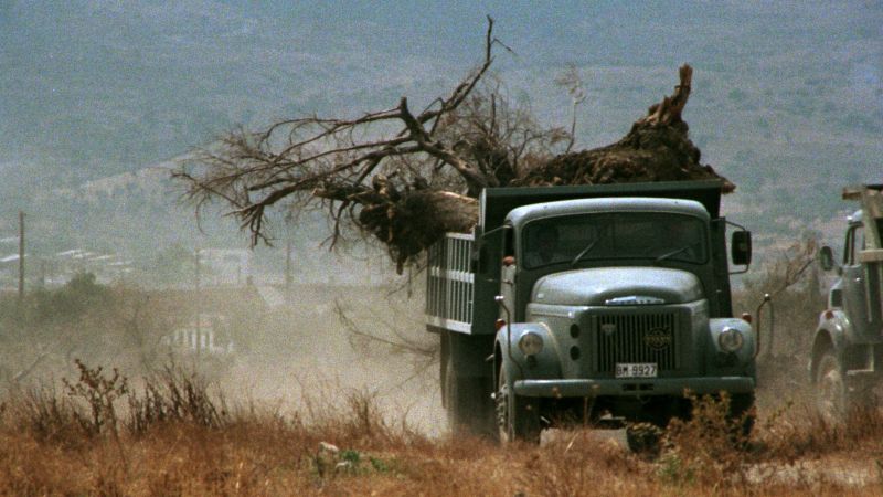 27ο-φνθ-ένα-μοναδικό-κινηματογραφικό-τα-1281752