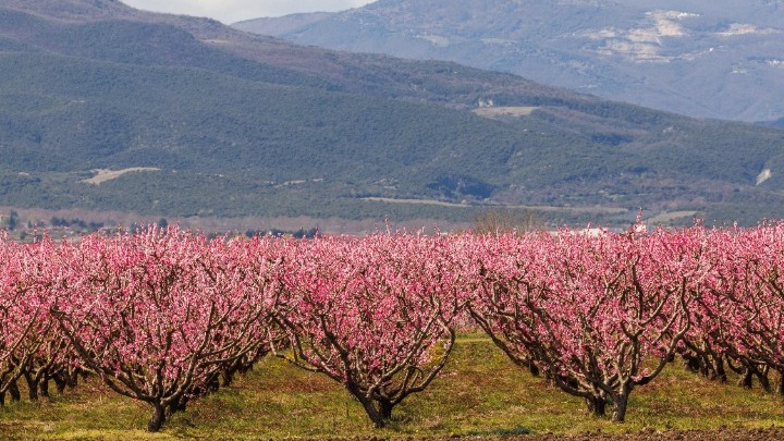 η-περιοχή-της-ελλάδας-με-τις-πιο-όμορφε-1296140