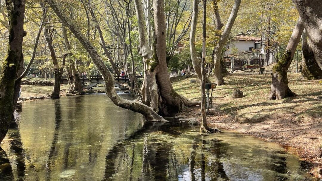 λίγο-πριν-τα-χριστούγεννα-προορισμοί-1310237