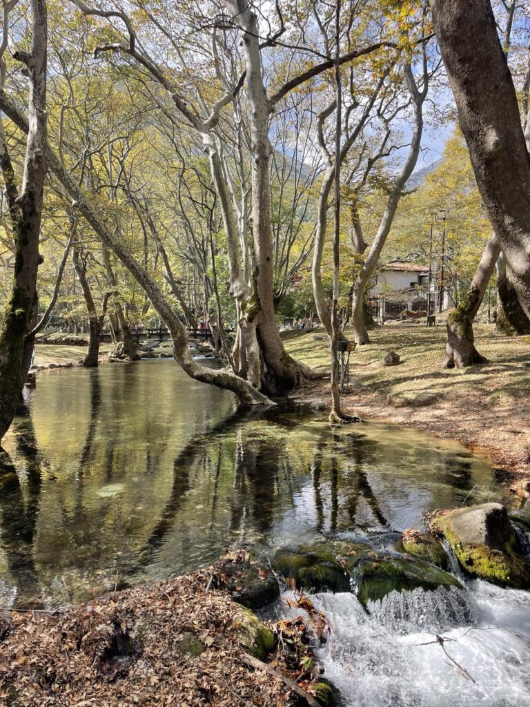 λίγο-πριν-τα-χριστούγεννα-προορισμοί-1310237
