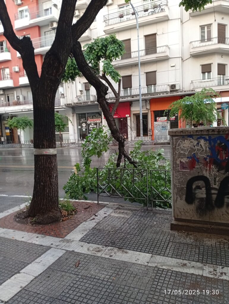 θεσσαλονίκη-δέντρο-έσπασε-στη-μέση-απ-1321534