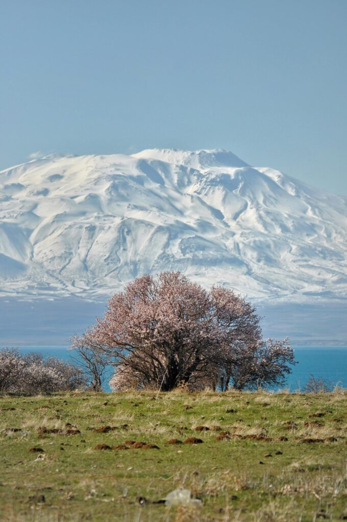 ena-magiko-taxidi-sti-skia-toy-ararat-sta-vathi-tis-anatolias-1317996