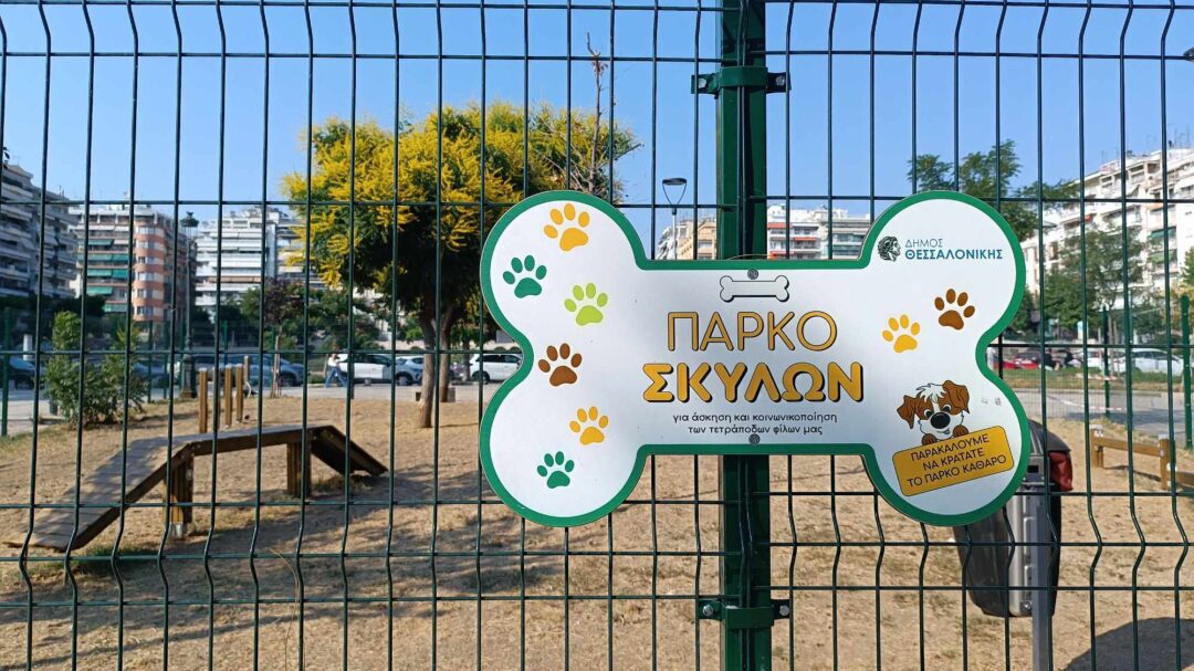 μπήκα-για-πρώτη-φορά-με-τον-σκύλο-μου-σε-1336962