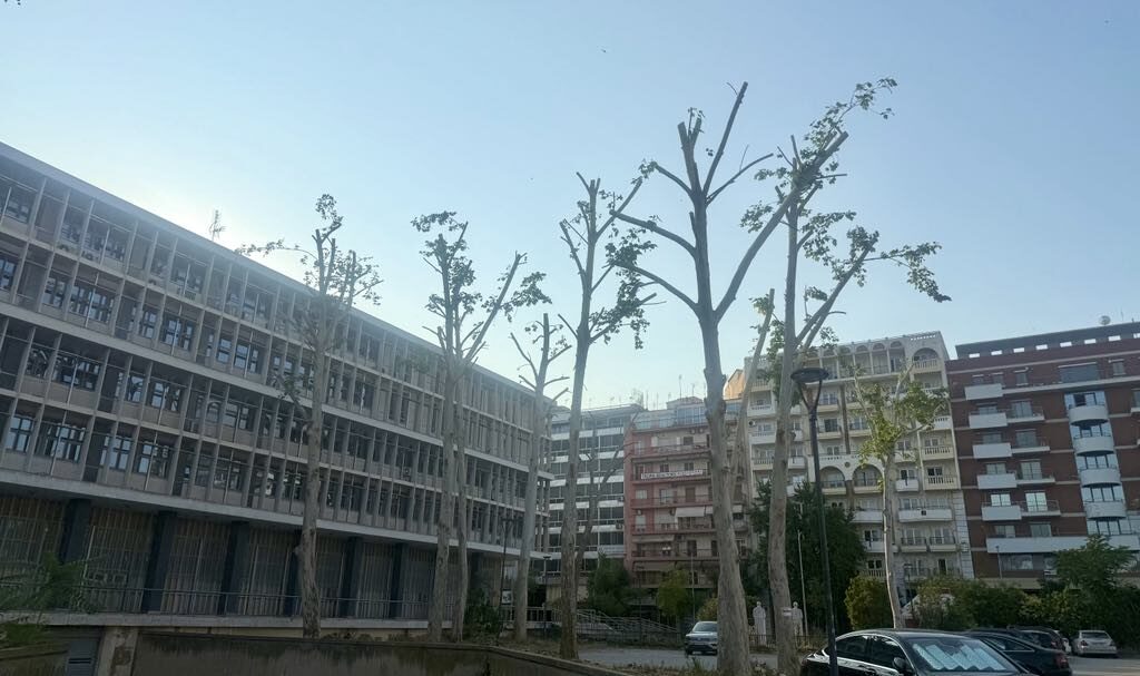 νόμιμο-είναι-να-κλαδεύεις-καλοκαιριά-1332679