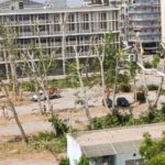 δέντρα δικαστικό μέγαρο