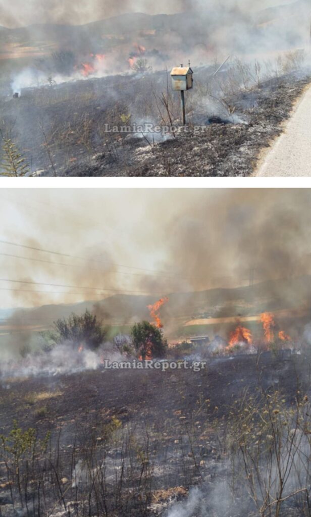 φωτιά-στον-δομοκό-επιχειρούν-εναέρια-1336123