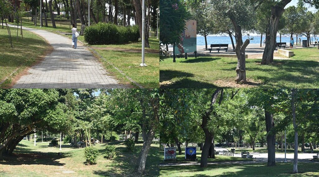 η-ιστορία-τα-προβλήματα-και-το-μέλλον-τ-1330285