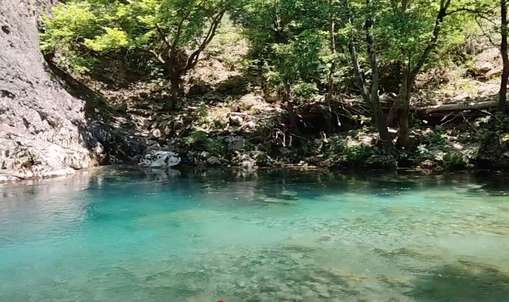 μικρό-πάπιγκο-κρυφός-αγωγός-με-παράνο-1338981